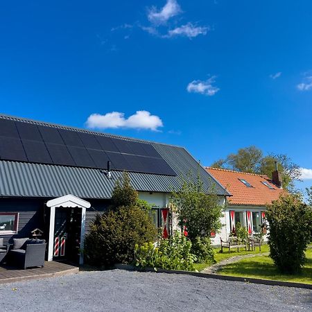 Het Zoete Peerd Bed and Breakfast Groede Εξωτερικό φωτογραφία