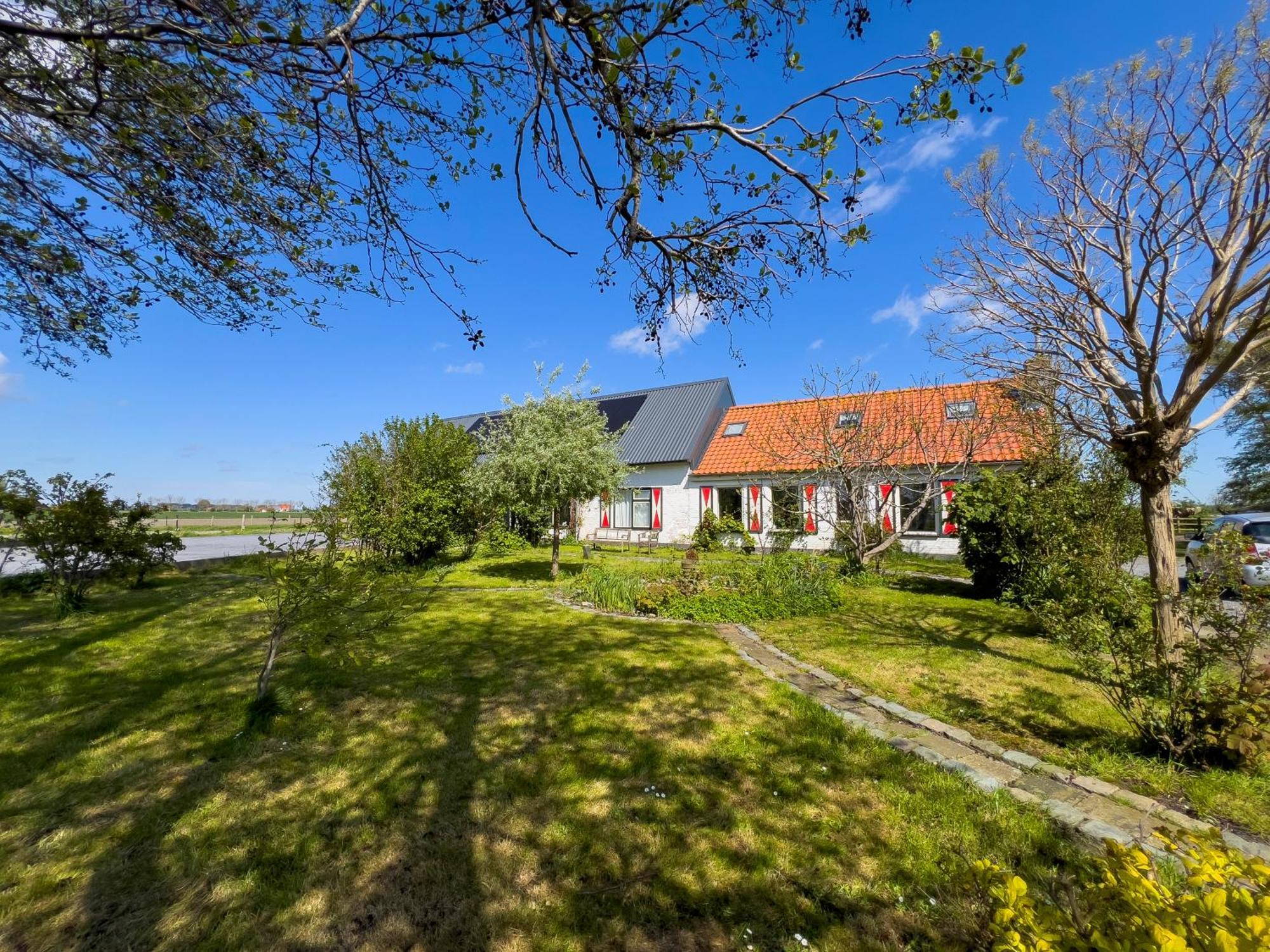 Het Zoete Peerd Bed and Breakfast Groede Εξωτερικό φωτογραφία