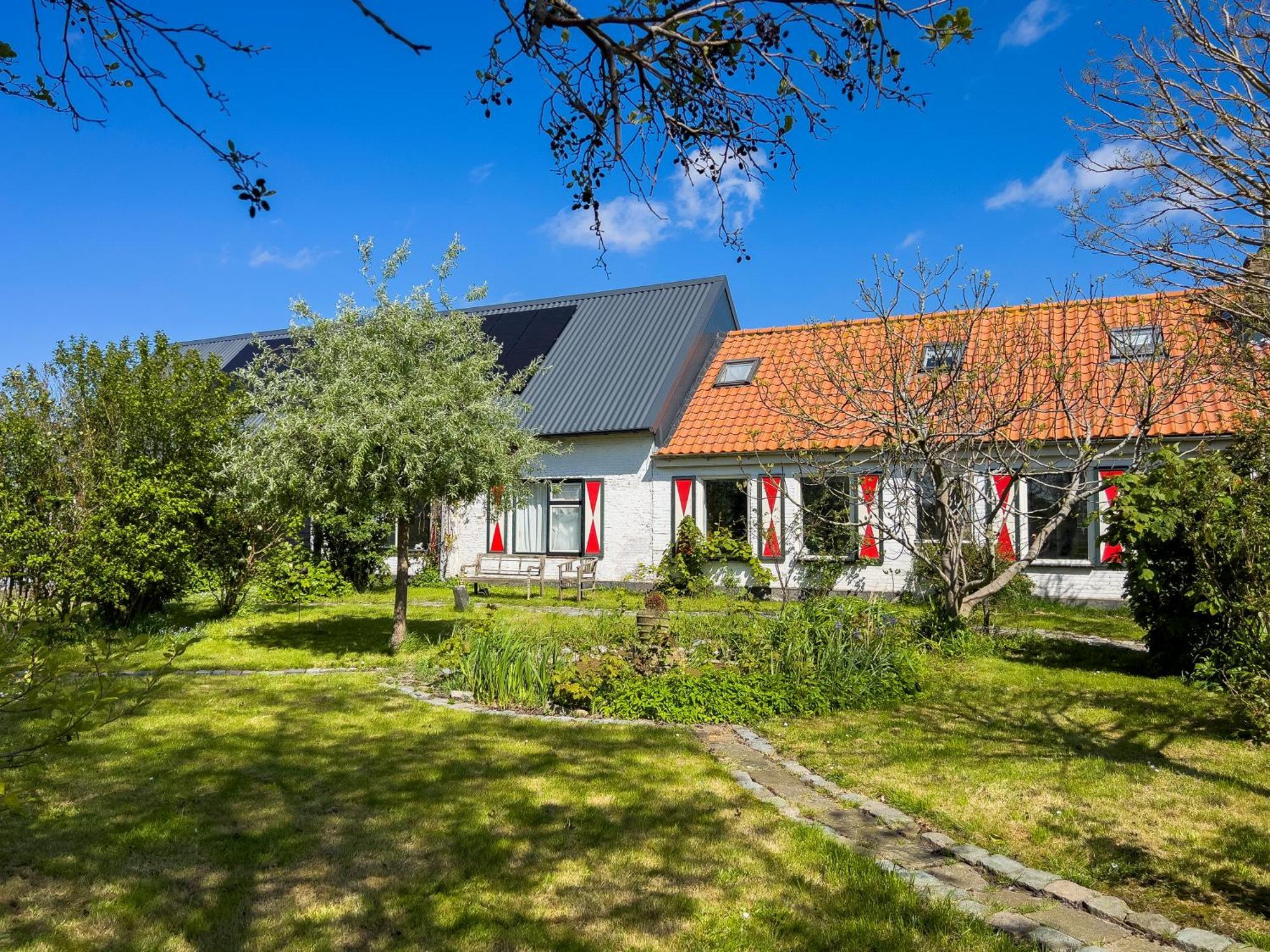 Het Zoete Peerd Bed and Breakfast Groede Εξωτερικό φωτογραφία